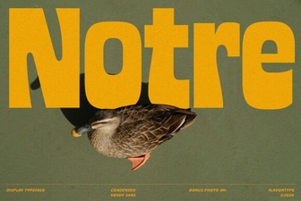 Discover Notre Font: Modern Typography for Creative Design